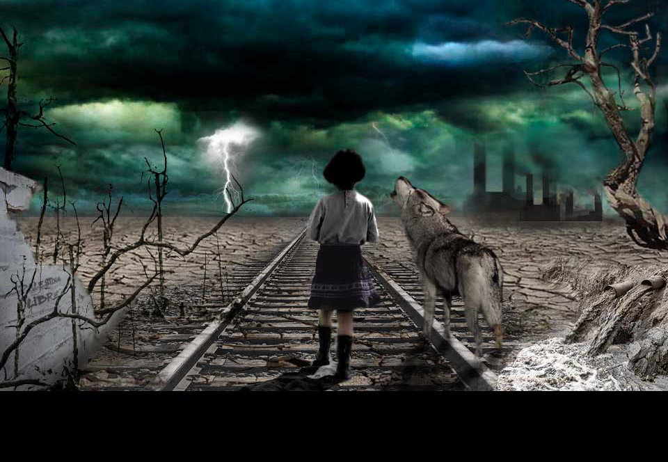 First part: The Motives of the Wolf